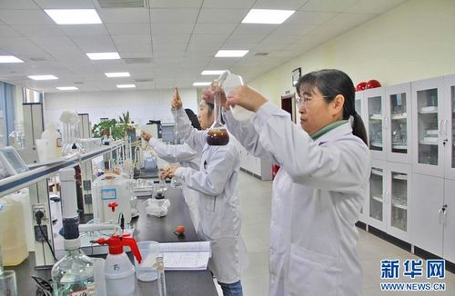 聚焦高質(zhì)量發(fā)展 信息科技領(lǐng)域的技術(shù)開發(fā)與“傻瓜肥”式新質(zhì)生產(chǎn)力