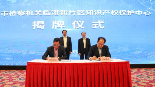 12支專業(yè)辦案團(tuán)隊(duì)入駐上海，深化金融、走私、知識(shí)產(chǎn)權(quán)等領(lǐng)域執(zhí)法服務(wù)